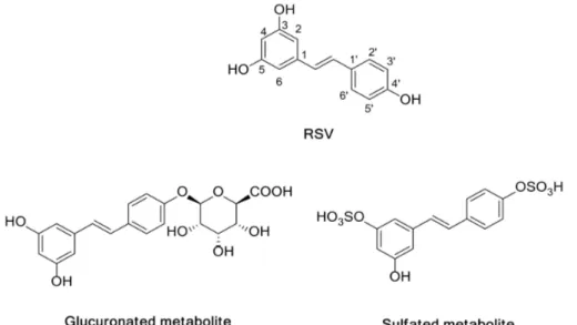 Figure 1. RSV and its glucuronated and sulfated metabolites.
