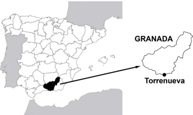 Fig. 1. Geographic location of the necropolis of Torrenueva (3rd–4th century CE) in the province of Granada (Spain).