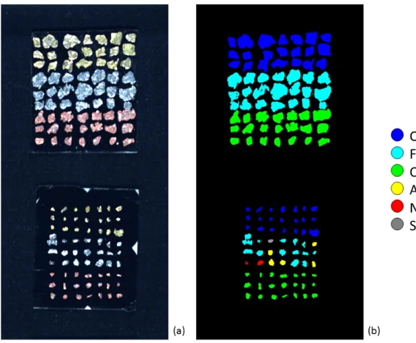 Figure 2. The dataset used in this study: (a) true colors image of the metal particles acquired through the VIS hyperspectral camera; (b) color-coded image in which each particle is associated with a single metal according to their average chemical composi