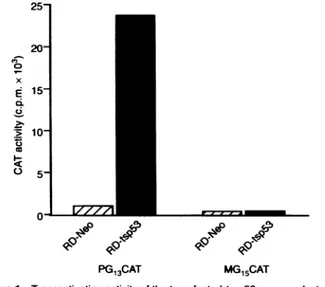 FIgure 1 Transadivating actvity of the btansfected ts-p53 ge produ at