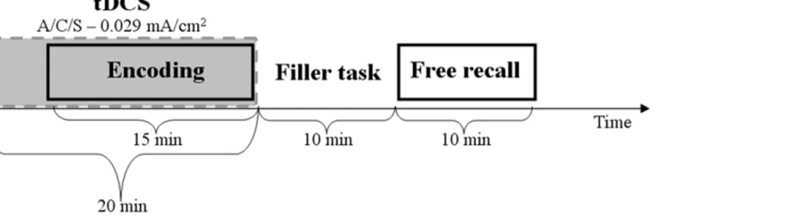 Figure 1. Experimental paradigm. The different phases of the experimental paradigm are reported along the time-line