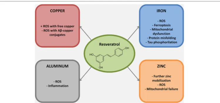 FIGURE 2 | Metal ions dyshomeostasis is closely related to different hallmarks of AD pathogenesis, mainly protein misfolding, ROS production, mitochondrial failure and inflammation