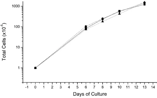 FIG. 1. Total cell number in liquid culture of normal adult CD34 ⫹ cells stimulated with a combination of growth factors including SCF, IL-3, and EPO (straight lines) or with the further addition of estradiol (dashed lines) or dexamethasone (dotted lines)