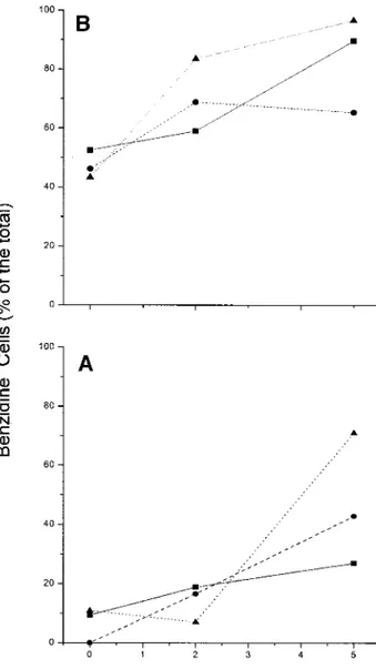 FIG. 2. Frequency of benzidine pos cells in cultures of cells harvested either at day 8 (A) or 13 (B) from the cultures shown in Fig