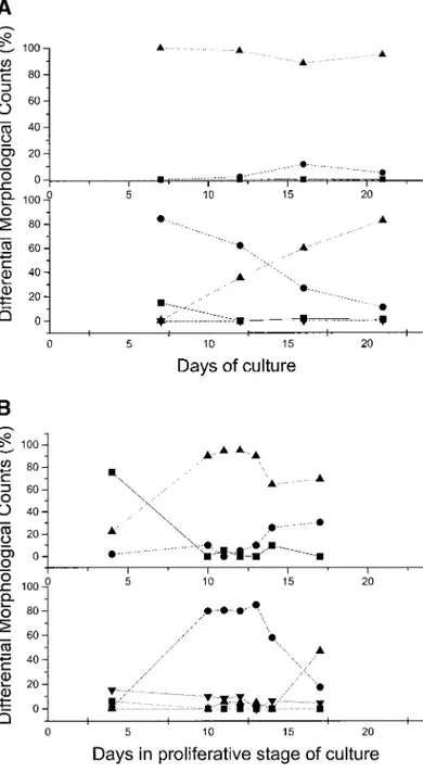 FIG. 7. (A, B) Differential morphological counts of May–Grunwald–Giemsa-stained cytocentrifuged smears of cells obtained from proliferative phase-cultures of light-density cells from two different normal donors