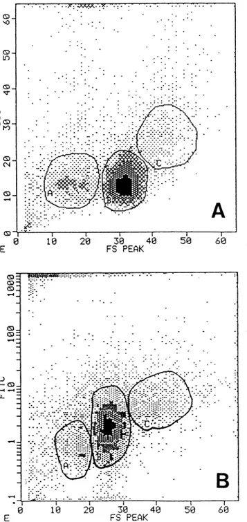Fig. 6. Flow cytometry analysis of rat thymocytes. Section A: Scat- Scat-ter analysis shows three distinguishable populations: small 