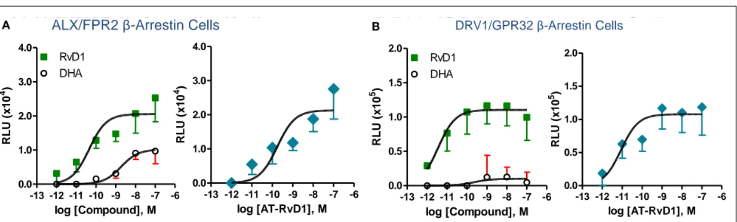 FIGURE 5 | Structure-activity relationship of RvD1, AT-RvD1, and DHA on ALX/FPR2 and DRV1/GPR32 receptors