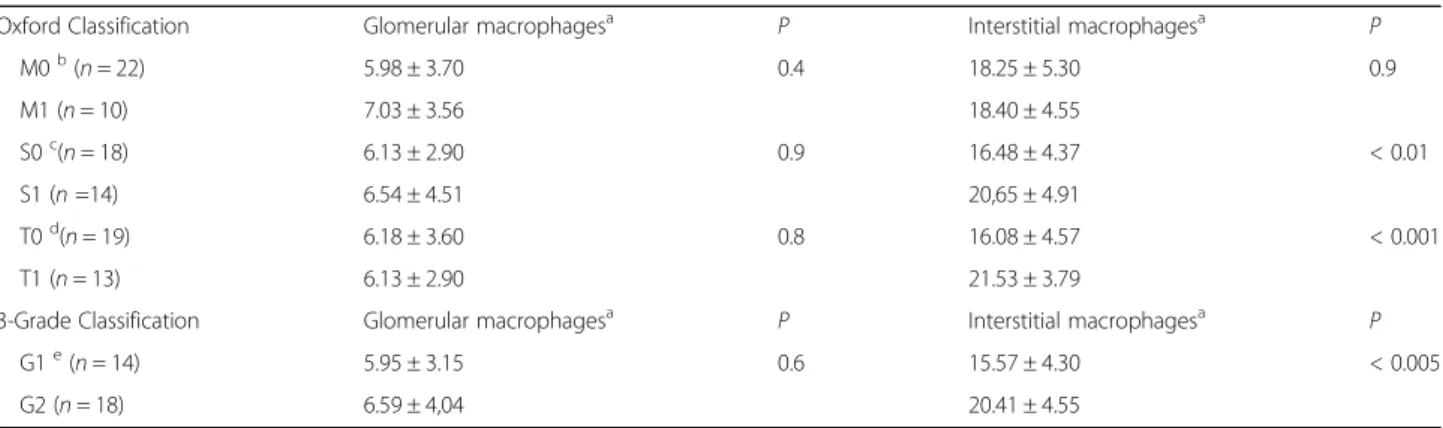 Table 1 Number of interstitial macrophages correlated with Oxford and 3-Grade classification grading