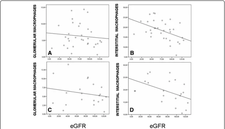 Fig. 4 Interstitial macrophages and eGFR at the time of biopsy and end of follow-up. Glomerular CD68 positive cells and interstitial CD68 positive cells in the cortical area per HPF were evaluated in IgAN biopsies as described in Materials and Methods