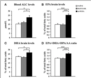 FIGURE 6 | n-3 PUFA effects on metabolic correlates. (A) Average blood levels of acetylcarnitine (ALC) for the three experimental groups
