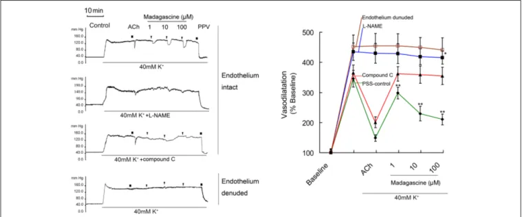 FIGURE 4 | Effects of compound C and L-NAME on madagascine-exerted vasodilatation. After 40 mM K +