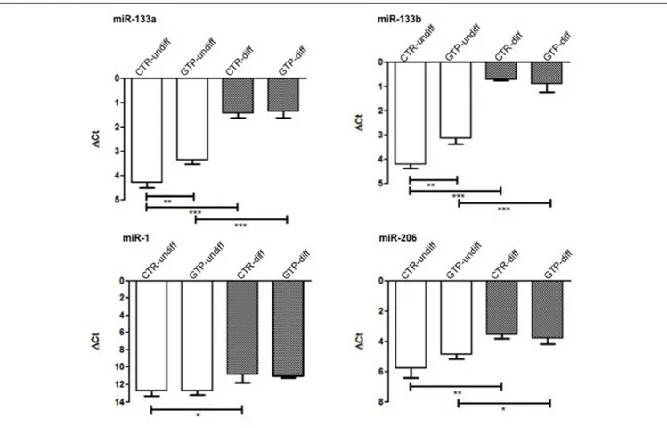 FIGURE 4 | microRNA expression profile in human MPC cells after GTP stimulation. The graphs show the relative expression of miR-133a, miR-133b, miR-1, and miR-206 both in myoblasts (CTR-undiff), in cells differentiated for 24 h in DM (CTR-diff) and in 500 