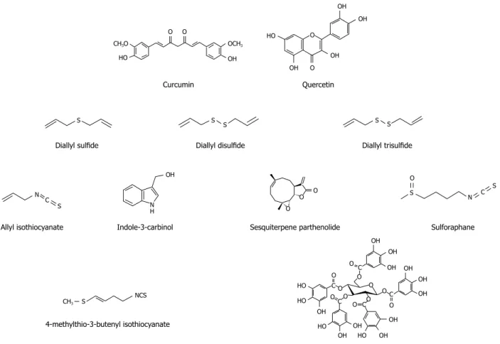Figure 2  Chemical structures of various natural HO-1 inducers.