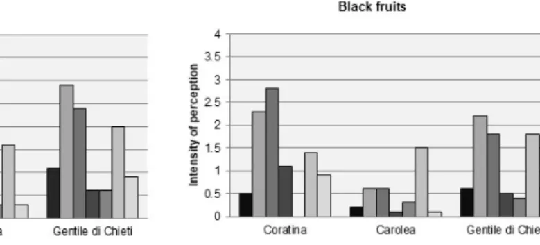 Figure 4. Sensory profiles of oils from Coratina, Carolea and Gentile di Chieti cultivars, at two different 