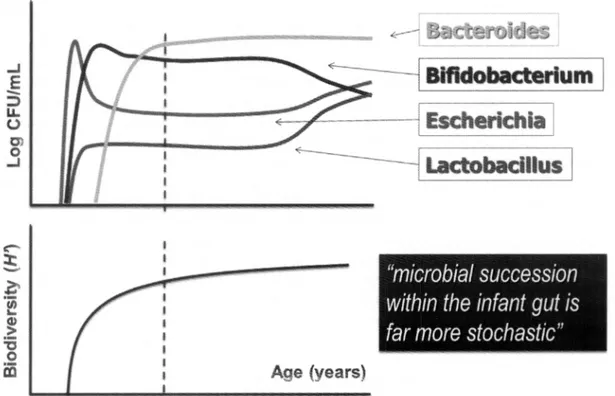 Fig. 1. Microbial community s uccession during life cour se . Relati ve bacterial abundance in fecal samples ofnewborn ,