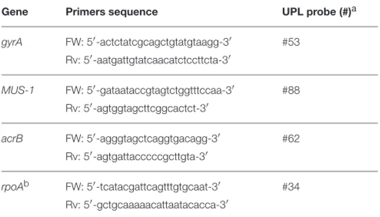 TABLE 1 | Primer sequences for RT-PCR.