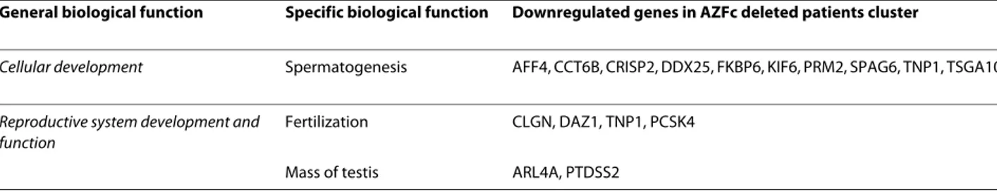 Table 2: Dowregulated genes in the cluster containing AZFc deleted samples as classified on the basis of their main  biological functions.