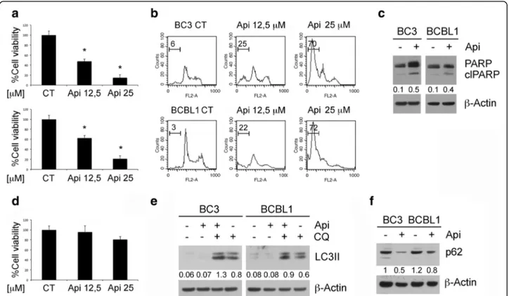 Fig. 1 Apigenin induces apoptotic cell death and autophagy in PEL cell lines. BC3 and BCBL1 cell were treated with apigenin at the indicated concentrations (12,5 and 25 μM) for 24 h