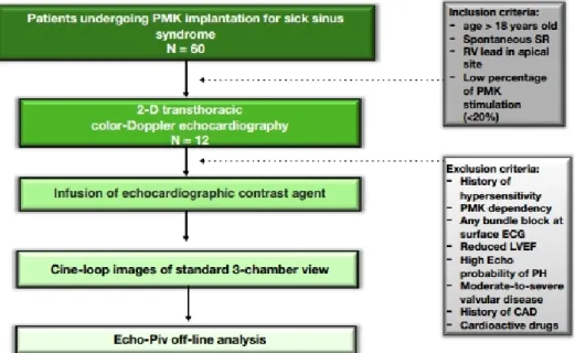 Figure 1  An outline of the study protocol. CAD, coronary artery disease; EF, ejection fraction; LV, left ventricle; PH, pulmonary  hypertension; PMK, pacemaker; RV, right ventricle; SR, sinus rhythm.