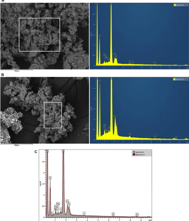 Fig 4. Scanning electron microscopy (SEM). Analysis of passenger (A) and truck (B) particles and the related spectrum of the microanalysis with EDS