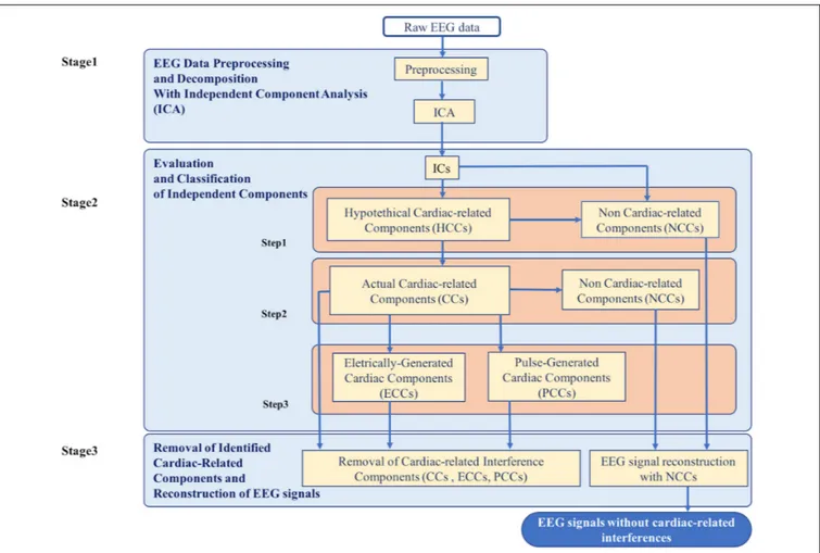 FIGURE 1 | Flowchart of the complete data processing for the automatic classification of cardiac related interference components