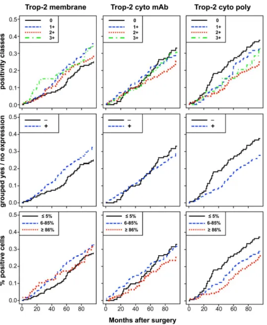 Figure 4. Impact of membrane versus intracellular Trop-2 on patient survival. Cumulative incidence (CI) estimates of death from any cause