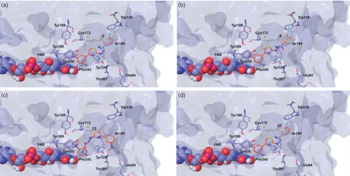 Figure 5. Glide top poses of compounds (a) 3, (b) 4, (c) 13, and (d) 37 in the hMAO-B active site