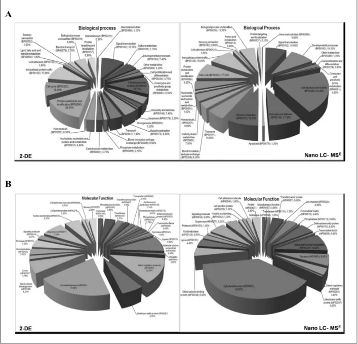 Figure 3 - Gene ontology distribution terms obtained from platelets proteome analysis