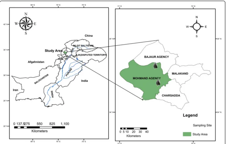 Fig. 1 Map of Pakistan showing Monotheca buxifolia plant collection site Mohmand Agency