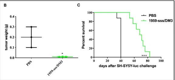 Figure 3. Therapeutic activity of 1959-sss/DM3 in SH-SY5Y-LUC orthotopic xenograft model