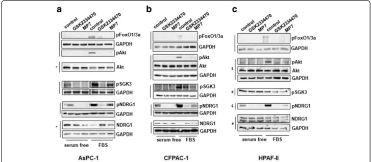 Fig. 4 Effect of PDK1 pharmacological inhibition on signalling pathways in PDAC cell lines