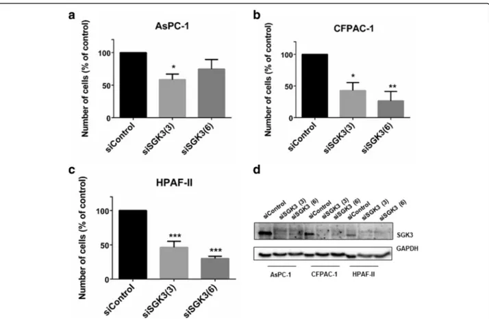 Fig. 6 siRNA-mediated SGK3 downregulation inhibits PDAC cells growth. AsPC-1 (a), CFPAC-1 (b) and HPAF-II (c) cells were transfected with two siRNAs specifically targeting SGK3 or a non-targeting siRNA (siControl) and then manually counted with trypan blue
