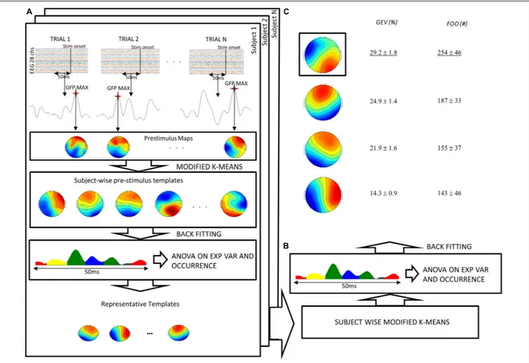 FIGURE 2 | Flow chart of the pre-stimulus microstate analysis procedure. (A) For each subject and for each trial, the maximum of the GFP in the 50 ms preceding the target stimulus was submitted to a modified version of the k-means algorithm