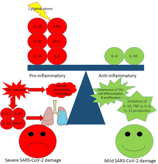 Figure 1. Mechanisms of cytokine storm in severe SARS-CoV-2 infection. In severe Severe Acute 