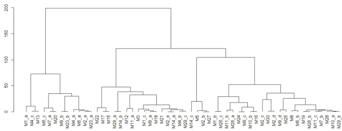 Figure 3: Cluster dendrogram for functional hierarchical Ward’s method applied to the INVALSI mathematics test