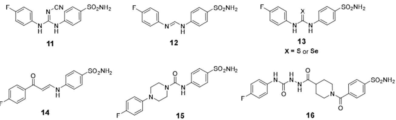 Figure 3. Chemical structures for SLC-0111 analogs (11–16) developed through modification of the 