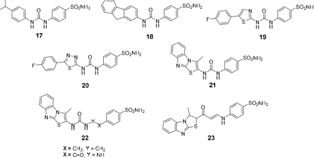 Figure 4. Chemical structures for SLC-0111 analogs (17–23) developed through modification of the 
