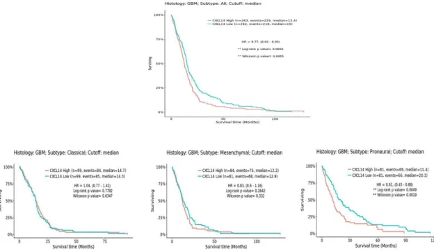 Figure 8. CXCL14 expression inversely correlates with overall survival in glioblastoma