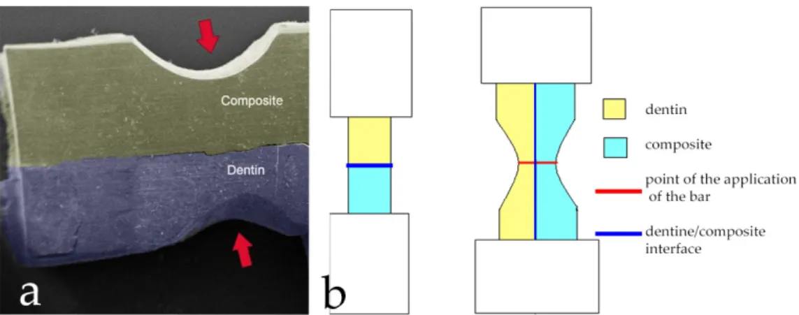 Figure 2. Notches creation: (a) The red arrows indicate the pre-crack areas; (b) Comparison between 