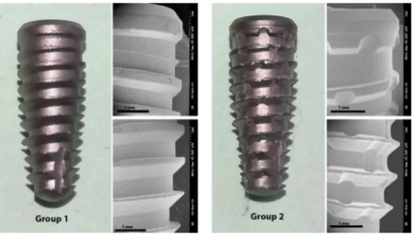 Figure 1. Representative image of the implants tested in each group. SEM images with magnification  of x35