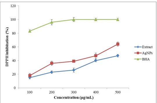 Figure 5. The DPPH scavenging activity of the A. tribuloides root extract and the greenly synthesized  AgNPs at different concentrations