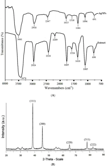 Figure 2. (A) The FTIR spectrum of the A. tribuloides root extract and the greenly synthesized AgNPs