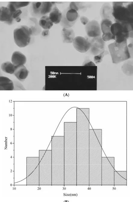 Figure 3. (A) The TEM image and (B) the particles size distribution of the AgNPs greenly synthesized by the A