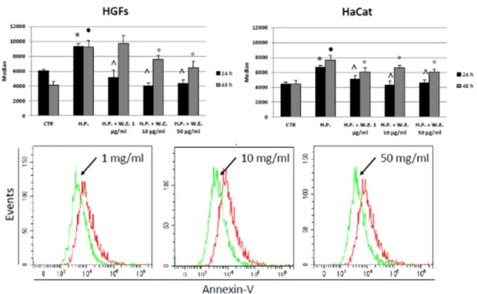 Figure 5. Apoptosis assay, expressed as the median of Annexin-V FITC peaks in HGFs (upper  left) and HaCat cells (upper right) in presence of different concentrations of hemp water  extract (W.E.) and/or H 2 O 2  (H.P.) at 24 and 48 h