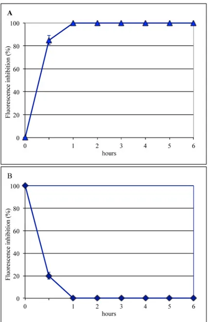 Figure 3. Addition-time effect of 20 mM NH 4 Cl on influenza virus infection. (A) NH 4 Cl was added to 