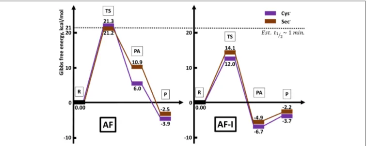 FIGURE 6 | Reaction profiles for AF and AF-I interacting with neutral His and Met and anionic Cys − and Sec − nucleophiles.