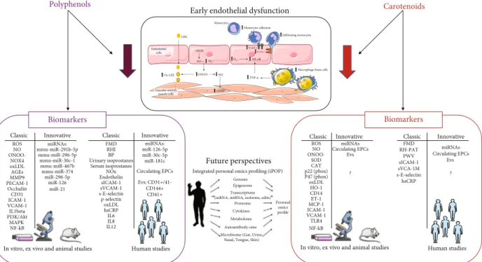 Figure 2: Classical and innovative biomarkers modulated by polyphenols and carotenoids in early endothelial dysfunction