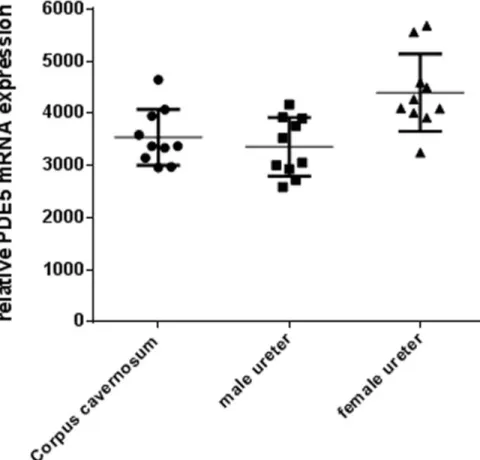 Table 1 summarizes the percentage of stone elimination at autopsy in each experimental group of rats