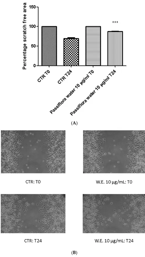 Figure 4. Effects of subtoxic concentration (10 μg/mL) of P. foetida water extract on spontaneous 