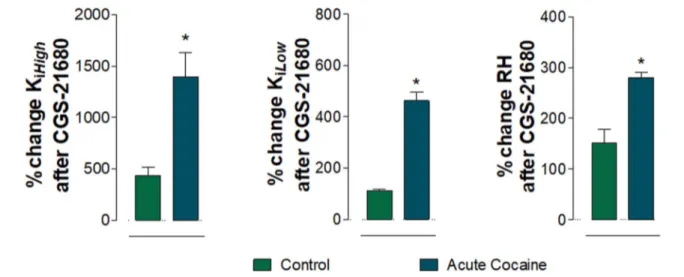 Fig. 4    A2A agonist CGS-21680 (100 nM) induced changes in D2R  binding, comparing the cocaine group and the control (vehicle  treated) group given in percent of values in the absence of  CGS-21680 with regard to the RH, K i, High  and K i, Low  values